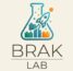braklab.com.br