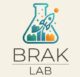 braklab.com.br